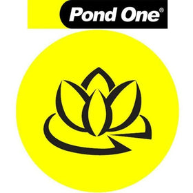 Pond One - Claritec