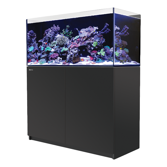 Red Sea Reefer 350 Complete System - Black V3 - RBM Aquatics  