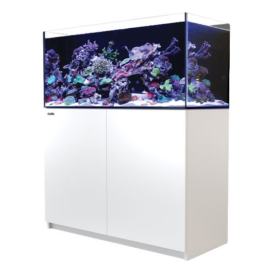 Red Sea Reefer 350 Complete System - White V3 - RBM Aquatics  